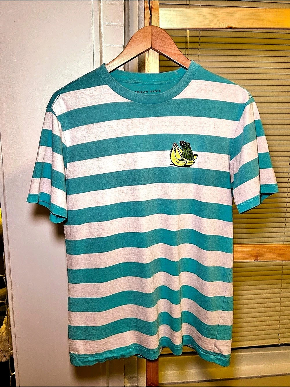 American Eagle Striped Graphic Tee in Blue & Pink Size Small Like New